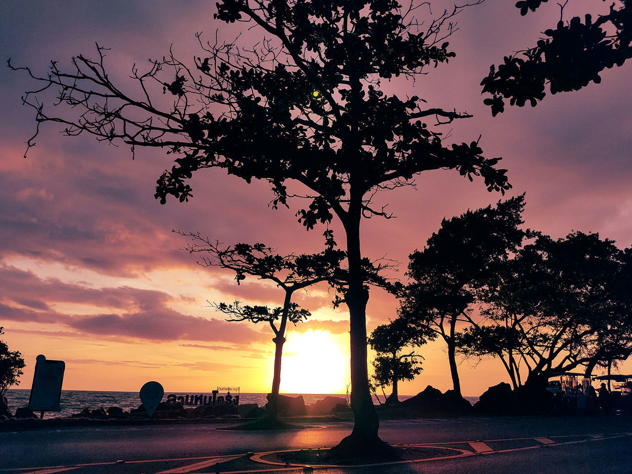 SILHOUETTE TREE AGAINST SKY DURING SUNSET