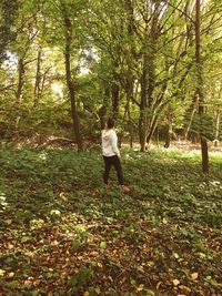 Rear view of man walking on dirt road amidst trees