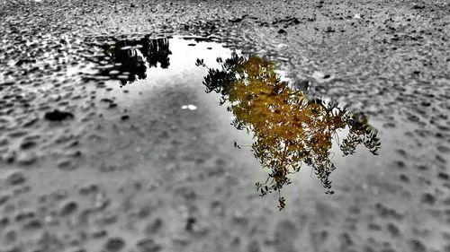 Close-up of water drops on glass