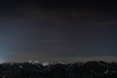 Low angle view of star field against sky at night