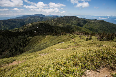 Scenic view of landscape against sky