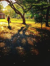 Rear view of a man with shadow on tree