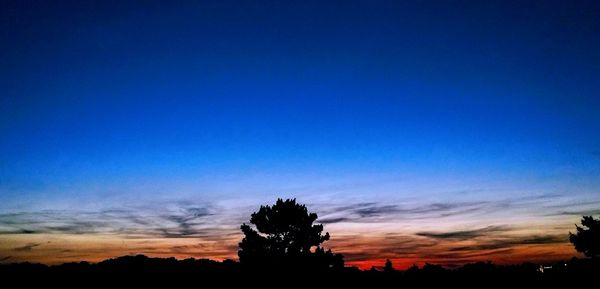 Silhouette trees against blue sky