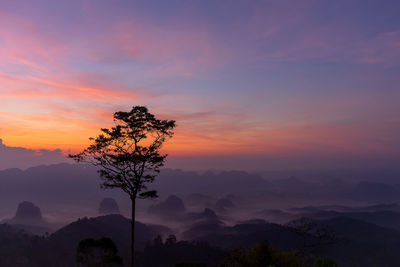 Silhouette tree against dramatic sky during sunset