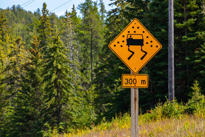 Close-up of road sign by trees in forest