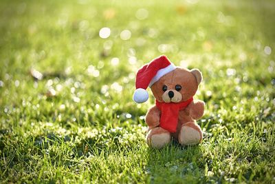Close-up of stuffed toy on field