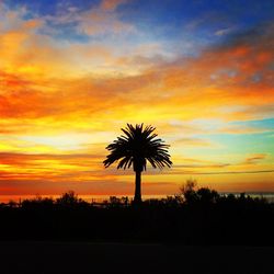 Silhouette palm trees against sky during sunset