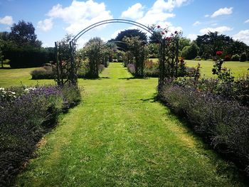 Park against sky