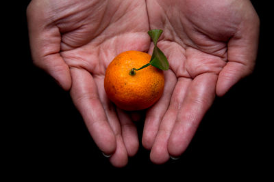 Close-up of hand holding apple against black background