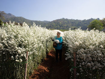 Asian old elderly female elder woman resting relaxing in flower garden. senior leisure lifestyle