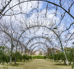 View of park against sky