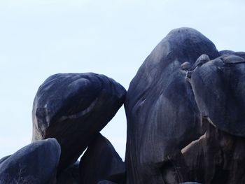 Low angle view of man against clear sky