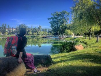 Rear view of man sitting on bench in park