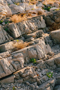 High angle view of stone wall