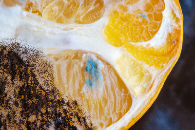 Close-up of fruit against white background