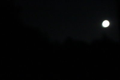 Low angle view of moon in sky at night