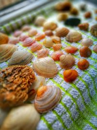 Close-up of vegetables