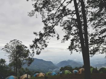 Scenic view of tree mountains against sky