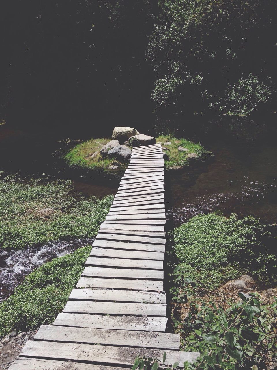 the way forward, tranquility, boardwalk, tranquil scene, diminishing perspective, walkway, plant, nature, growth, narrow, footpath, pathway, beauty in nature, grass, tree, vanishing point, long, scenics, outdoors, no people