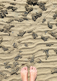 Low section of person standing on sand