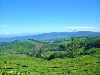 Scenic view of landscape against sky