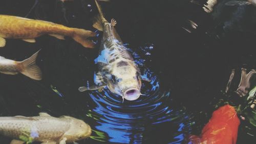 Close-up of water