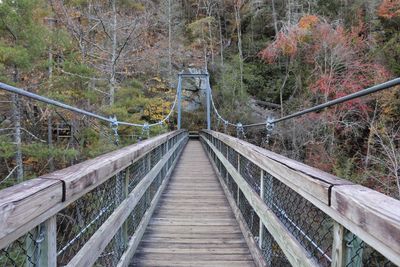 Footbridge in forest during autumn