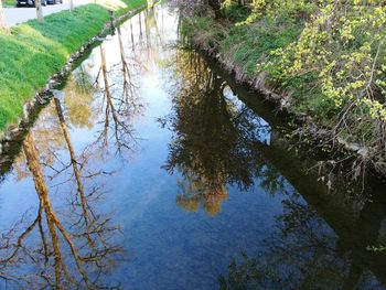 High angle view of trees by lake