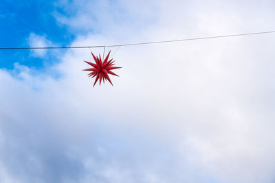 Low angle view of red flower against sky