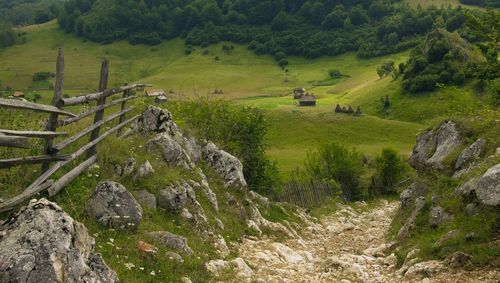 Scenic view of rural landscape