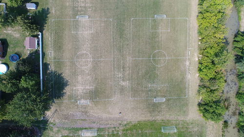 High angle view of trees on field
