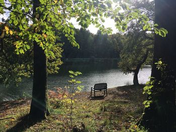 Trees by lake against sky