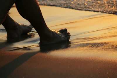 Low section of people standing on beach