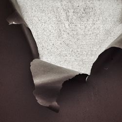 Close-up of white background