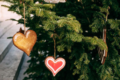 Close-up of heart shape hanging on tree