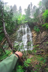 Scenic view of waterfall in forest