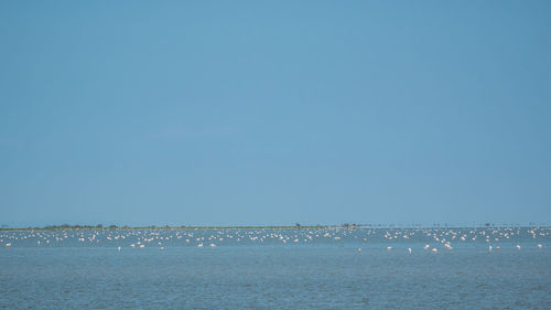 Scenic view of sea against clear blue sky