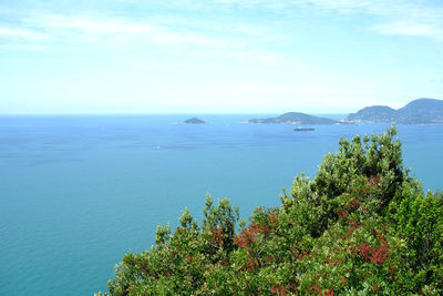 Ligurian coast landscape from the montemarcello hamlet in ameglia, la spezia, liguria, italy.