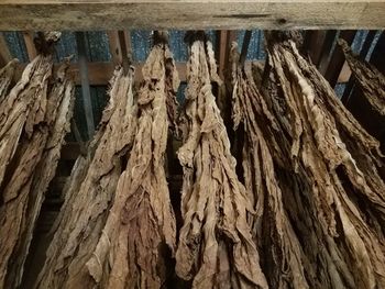 Low angle view of wood hanging on roof