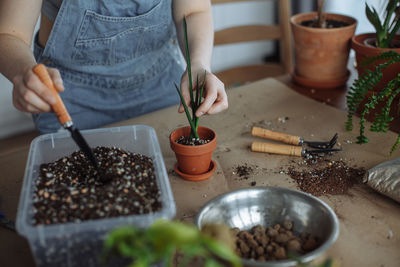 Midsection of gardener holding plants at home