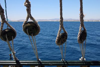 Close-up of birds hanging over sea against sky