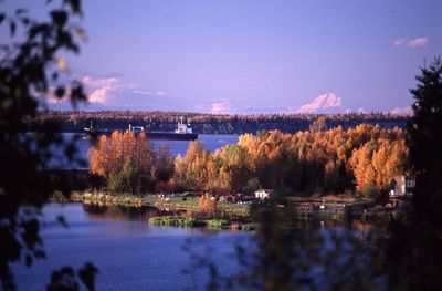 Scenic view of river by trees against sky