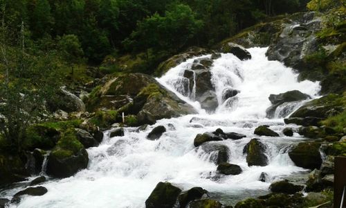 View of waterfall in forest