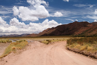 Scenic view of desert against sky