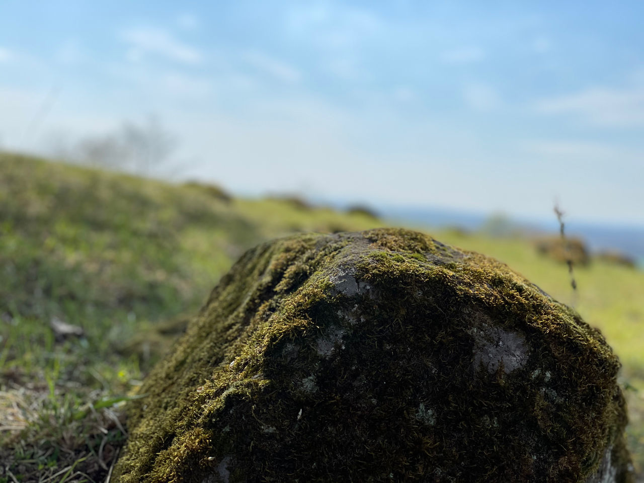 CLOSE-UP OF ROCK