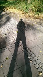 Shadow of people on footpath