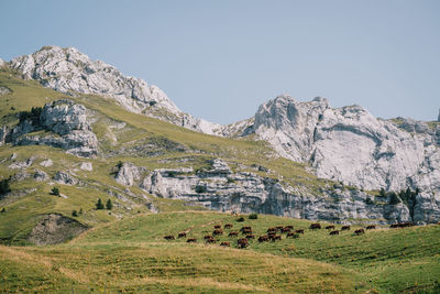 Scenic view of mountains against clear sky