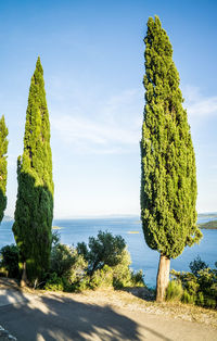 Scenic view of sea against clear blue sky