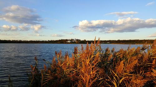 Scenic view of lake against sky during sunset