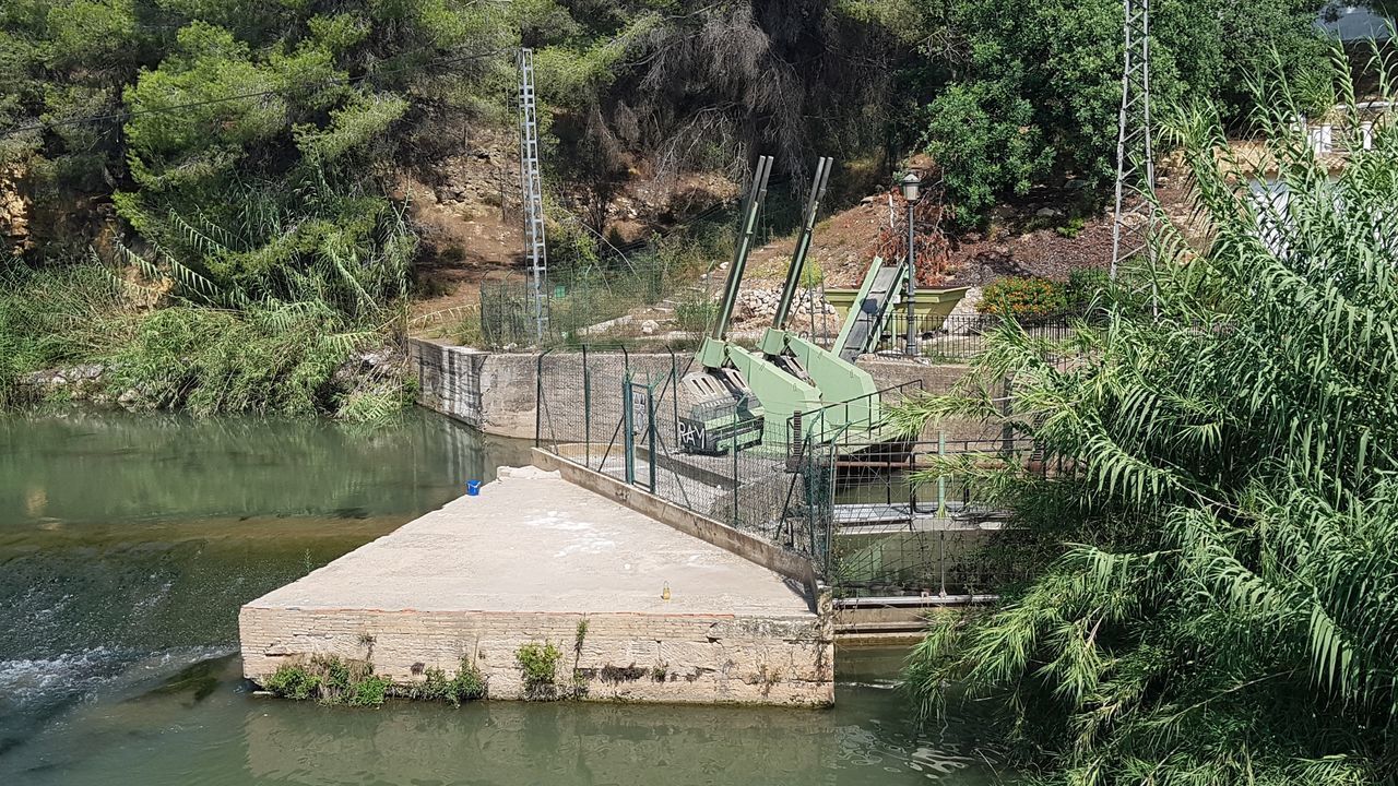 HIGH ANGLE VIEW OF PLANTS AND RIVER